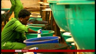 Kenya  Snail Farm [upl. by Audrey]