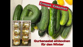 Erntezeit  Einkochzeit Gurkensalat einkochen für den Winter [upl. by Anoiek]