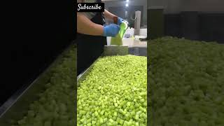 Candy crush green Candy crush Candy USA China India Europe Korea South KoreaNew Dubai [upl. by Mareah27]