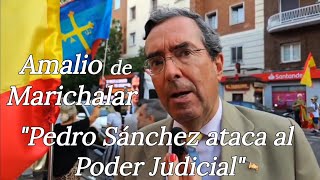 Amalio de Marichalar Pedro Sánchez ataca al Poder Judicial [upl. by Naujuj]