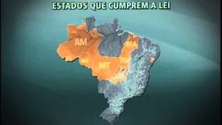 Conheça os Estados cumprem o piso salarial e a jornada de trabalho dos professores [upl. by Aicile]