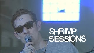 Viagra Boys  Shrimp Sessions [upl. by Huesman]