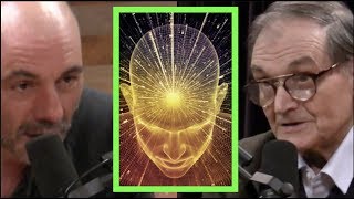 Joe Rogan  Mathematician on Trying to Measure Consciousness [upl. by Arnaud]