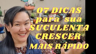 07 Dicas para sua SUCULENTA CRESCER mais RÁPIDO [upl. by Ettelra]