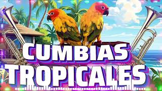 CUMBIAS VIEJITAS TROPICALES✨LAS MEJORES CUMBIAS MIX 🍉TROPICAL FLORIDALOS KARKISACAPULCO TROPICAL… [upl. by Walling]