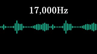 17000Hz Ultrasonic Mouse and Rat Repellent Noise 4 Hours [upl. by Talbot]