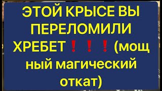 ЭТОЙ КРЫСЕ ВЫ ПЕРЕЛОМИЛИ ХРЕБЕТ❗️❗️❗️МОЩНЫЙ МАГИЧЕСКИЙ ОТКАТ [upl. by Carew]