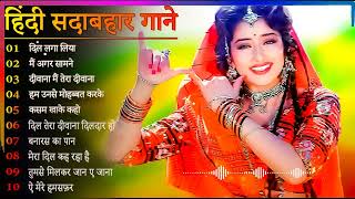 Hindi Gana🌹Sadabahar Song 💖हिंदी गाने 💔Purane Gane Mp3 💕Filmi Gaane अल्का याग्निक कुमार सानू गीत [upl. by Penrose]