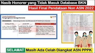 Nasib Honorer yang Tidak Masuk Database BKN  Tidak Lolos Pendataan Non ASN  Ada 4 Peluang Gaes [upl. by Nani832]