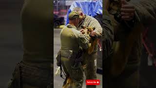 K9 Dog tacticalshooter dogs k9 usa tacticalk9 shortsvideo shortvideo k9policedogs [upl. by Yedorb]