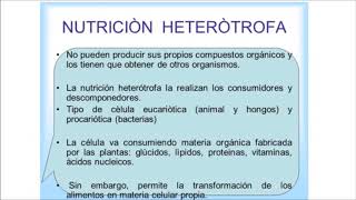 Nutrición Heterótrofa clasificación y explicación de los saprofitos [upl. by Tolland347]