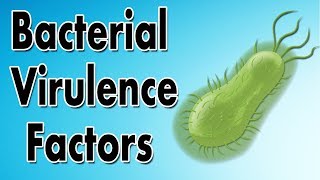 Bacterial Virulence Factors [upl. by Landmeier]