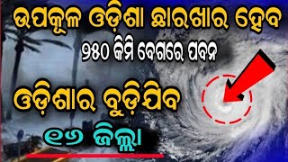 Weather Alert  Low Pressure To Trigger Heavy Rain in Several odisha 7 Septembre [upl. by Polloch]