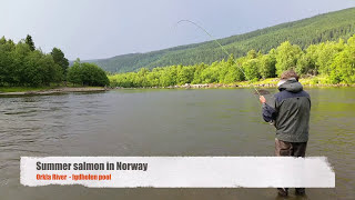 Salmon fishing River Orkla [upl. by Nariko605]