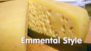 Making Emmentaler Style Swiss Cheese At Home [upl. by Ahsekar]