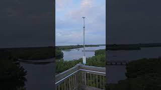 Weedon Island Preserve florida 360°view board walk park 8k [upl. by Siskind]