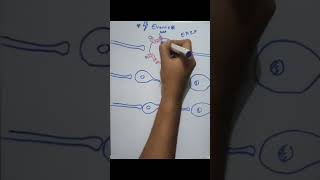 Local potential through ligand gated sodium or calcium channels شرح لمادة الفيسيولوجي بالعربي [upl. by Hitchcock]