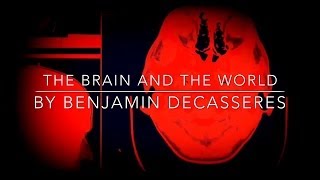 The Brain And The World ITheistic idealism [upl. by Waxler445]