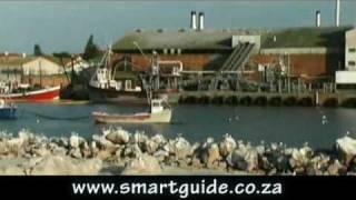 Lamberts Bay  West Coast South Africa [upl. by Nylirem]