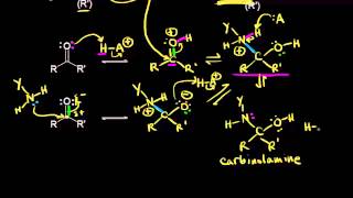 Formation of imines and enamines  Aldehydes and ketones  Organic chemistry  Khan Academy [upl. by Bluefield563]