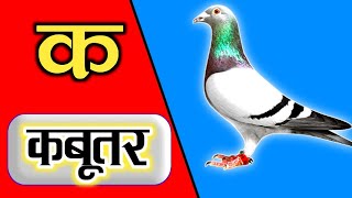 learn Hindi language varnamala pictures and song [upl. by Dovev]