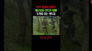 새벽부터 토끼 잡는 UDT 생도들 [upl. by Augustine]