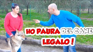 HO PAURA DEI CANI  Tutti pazzi per i cani 🐶 Ep 18 [upl. by Colvin]