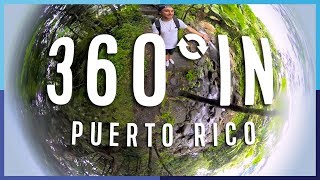 360 In Puerto Rico El Yunque National Forest  Royal Caribbean [upl. by Kelsy]