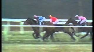 1987 John Craig Victor Ludorum Hurdle [upl. by Eleira]