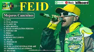 Feid Mix Exitos 2024  LAS MEJORES CANCIONES DE FEID [upl. by Corby]