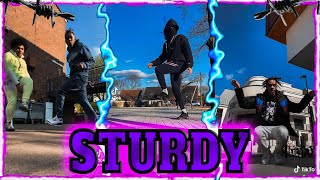 Sturdy Dance V5 🔥💯🌍  TikTok Compilation [upl. by Onaicilef118]