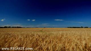 60minutes2relax  Golden Wheat Field [upl. by Lanaj59]