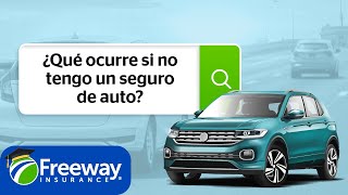 Consecuencias de no tener SEGURO de AUTOMÓVIL en USA [upl. by Trey175]