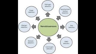 NANO BIOSENSORS [upl. by Raymonds346]