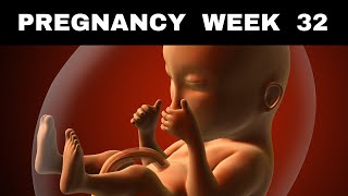 Pregnancy Week 32 Discomfort Cravings amp Baby Kicks [upl. by Roane]