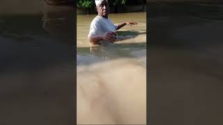 Maiduguri The Capital City of Borno State wakeup to a heavy flood africanews floods [upl. by Hayikat740]