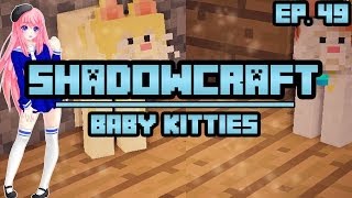 Baby Kitties  ShadowCraft  Ep 49 [upl. by Doralin]