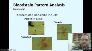 Forensic Serology Blood and Body Fluids [upl. by Arras11]