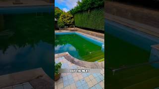 Cleaning the swimming pool without draining water shorts [upl. by Ehctav]