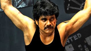 Gambler No 1 l Nagarjuna l South Superhit Action Movie In Hindi Dubbed l Mamta Mohandas [upl. by Nosak]