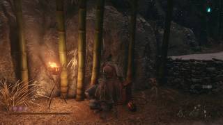 Sekiro Shadows Die Twice  Valley Apparitions Memo [upl. by Prudence]