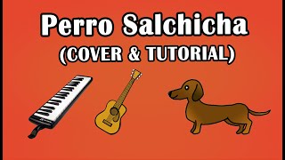 Canción del Perro Salchicha TIK TOK  Cover y Tutorial en MelódicaPiano y Guitarra [upl. by Baptiste]