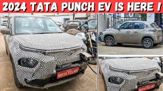 2024 TATA PUNCH EV  MOST VFM EV FROM TATA  PRICE FEATURES LAUNCH tatapunchsuvmahindrahyundai [upl. by Airdnna280]