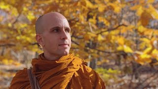 Purifying the Mind MN2 Sabbasava Sutta part 12 with Bhante Suddhaso [upl. by Levesque]