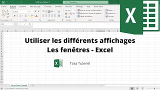 Comment utiliser les différents types daffichage avec Excel 2020  Excel  TOSA 2019 [upl. by Naol550]