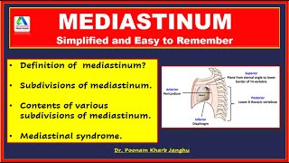 Mediastinum  Mediastinum anatomy  Mediastinum contents [upl. by Masterson]