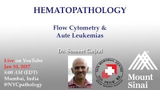 Hematopathology Flow Cytometry and Acute Leukemias [upl. by Endys]