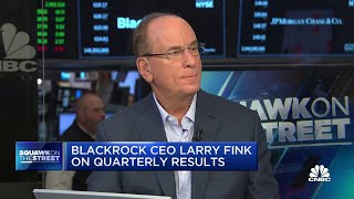 BlackRock CEO Larry Fink Long term investors should be at least 80 in equities or hard assets [upl. by Atnoed]