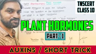 Plant Hormones  Auxins  Short trick  TNSCERT CLASS 10 [upl. by Aniluj]