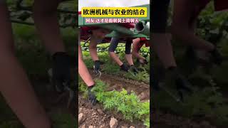 搞笑 趣闻 😲 这就是半自动化播种吗？ [upl. by Dnalyag]